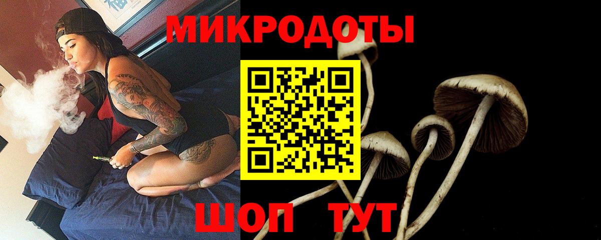 Солнечногорск  Псилоцибиновые грибы прущие грибы  Вход с VPN  Псилоцибиновые грибы мухоморы 