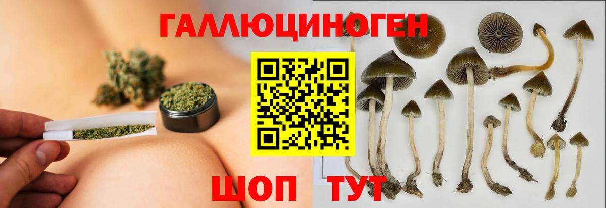 Псилоцибиновые грибы Magic Shrooms Солнечногорск